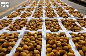 Rothana Dates Gain Strong Demand as Harvest Season Begins