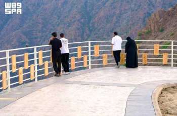 Lavender Walkway Emerges as Key Attraction of Al-Baha Summer 2026