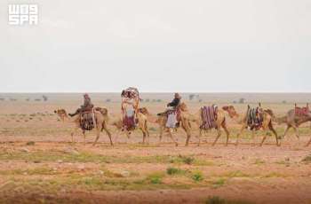 Camel Training: A Heritage Skill Passed Down by Bedouin Communities
