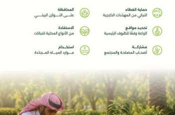 البرنامج الوطني للتشجير: ستة مبادئ رئيسة لاستدامة عمليات التشجير وتغيير النظام البيئي في المملكة