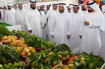 Khorfakkan Mango Festival 2026 kicks off at Expo Khorfakkan