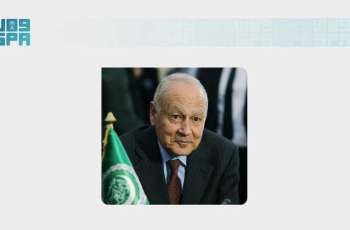 Arab League Secretary-General Denounces Israeli Attacks on Syria