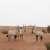 EAD: Abu Dhabi continues to develop innovative solutions to enhance climate adaptation, protect natural resources