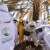 KSrelief Hands Over Beehives and Honey Production Supplies to Beneficiaries in Yemen