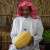 Hasawi Watermelon Boosts Al-Ahsa’s Summer Market Season