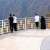 Lavender Walkway Emerges as Key Attraction of Al-Baha Summer 2026