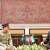 Iranian President meets Field Marshal Asim Munir, discusses regional peace, bilateral ties
