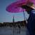 40 people dead as record heatwave hits Europe, triggering alerts across multiple countries