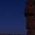 June Bootids Meteor Shower Observed in Sky over AlUla