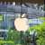 Apple fast-tracks security updates amid AI-driven cyber threats