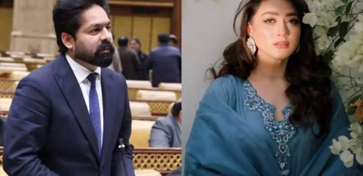 MPA Saqib Chadhar booked in harassment case of actress Mominah Iq ..