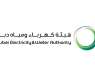 DEWA raises clean energy production capacity to 21.5%