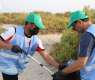 Border Guard Launches Environmental Initiatives Across Saudi Arabia on World Environment Day