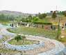 Flower Garden at Prince Hussam Park in Al-Baha Adorned with 30,000 Flower Seedlings