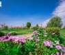 King Khalid University Marks World Environment Day