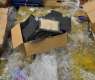 Saudi-UAE Security Cooperation Dismantles Criminal Network, Foils Attempt to Smuggle 267,300 Amphetamine Pills