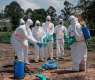 Ebola claims 101 lives in DR Congo as confirmed cases rise to 550