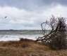 Tropical storm forms off Nicaragua; heavy rain warnings issued