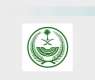 Riyadh Police Detain Five Bangladeshi Residents for Begging