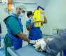 Qassim University Veterinary Teaching Hospital Bolsters Training and Specialized Care