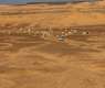 Arabian Horses and Camels Enrich Desert Tourism in Northern Borders Region