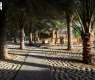 Licensed Heritage Farm in Sakaka Showcases Al-Jouf’s Rich Agricultural Legacy