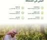 البرنامج الوطني للتشجير: ستة مبادئ رئيسة لاستدامة عمليات التشجير وتغيير النظام البيئي في المملكة