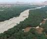 National Greening Program Outlines Six Principles to Transform Saudi Ecosystems