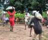 KSrelief Distributes 805 Food Baskets in Nigeria