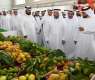 Khorfakkan Mango Festival 2026 kicks off at Expo Khorfakkan