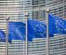EU trade in rare earth elements increased in 2025