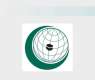OIC Condemns Continued Israeli Attacks on Syria