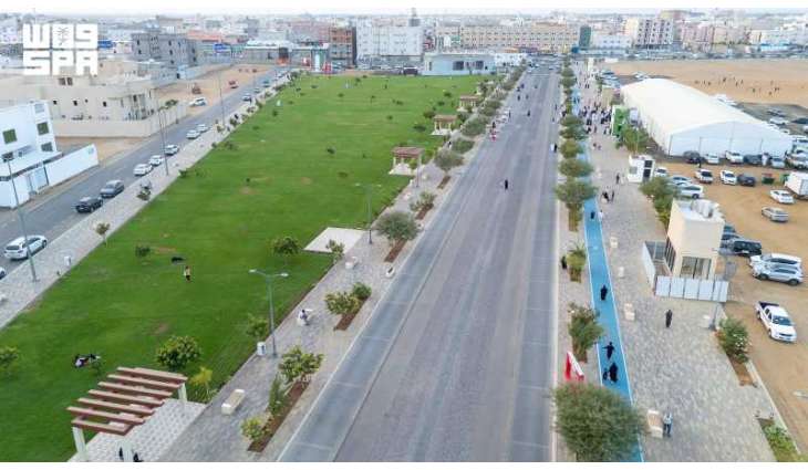 شجرة 