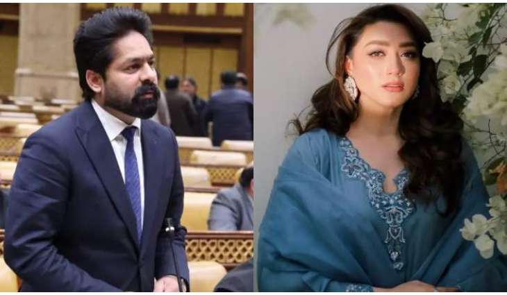 MPA Saqib Chadhar booked in harassment case of actress Mominah Iqbal