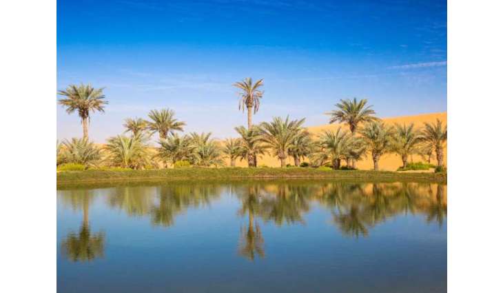 اليوم العالمي للبيئة 2026 / أبوظبي تقود صياغة الحلول البيئية عبر الابتكار العلمي