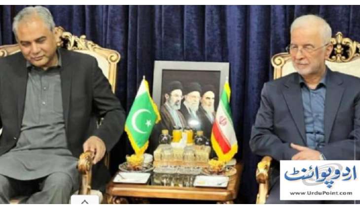 وزیر الداخلیة محسن نقوي یجتمع مع نظیرہ الایراني اسکندر موٴمني