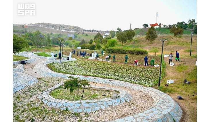Flower Garden at Prince Hussam Park in Al-Baha Adorned with 30,000 Flower Seedlings