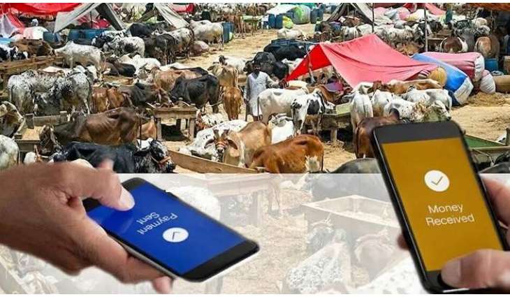 SBP reports Rs34 billion digital transactions on Eid-ul-Adha