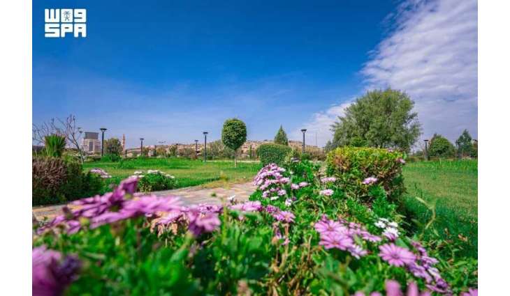 King Khalid University Marks World Environment Day