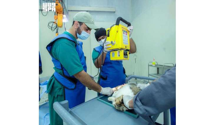 المستشفى البيطري الجامعي بجامعة القصيم.. بيئة تعليمية متقدمة وخدمات متخصصة تدعم التنمية الوطنية