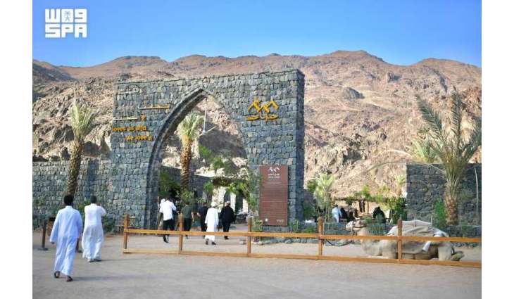جبل أحد.. تاريخ يُروى وتجربة تُعاش في قلب المدينة المنورة