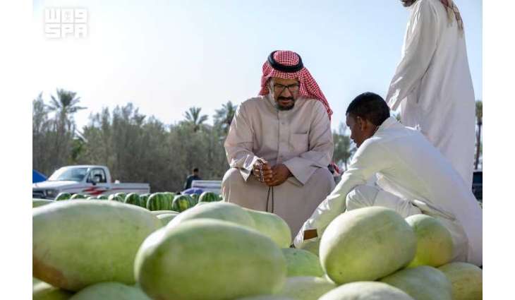 الجح 