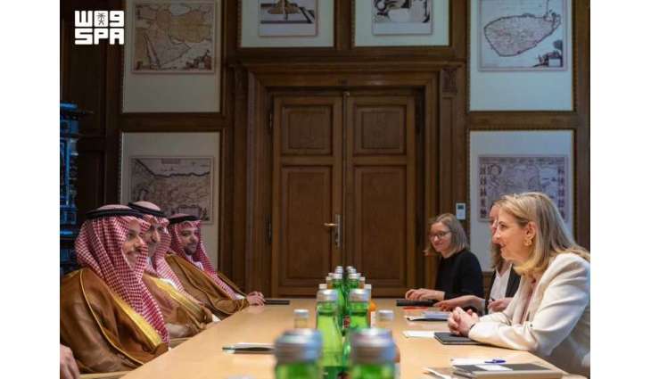 Foreign Minister Meets Austrian Federal Minister for European and International Affairs