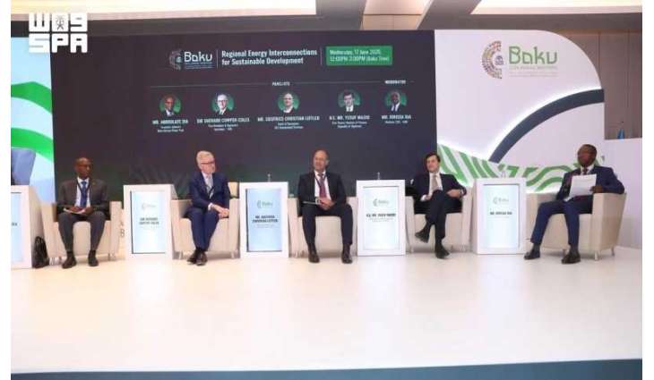 IsDB Group Session Highlights Regional Energy Interconnections for Sustainable Development
