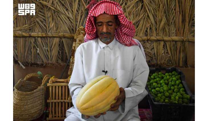 Hasawi Watermelon Boosts Al-Ahsa’s Summer Market Season