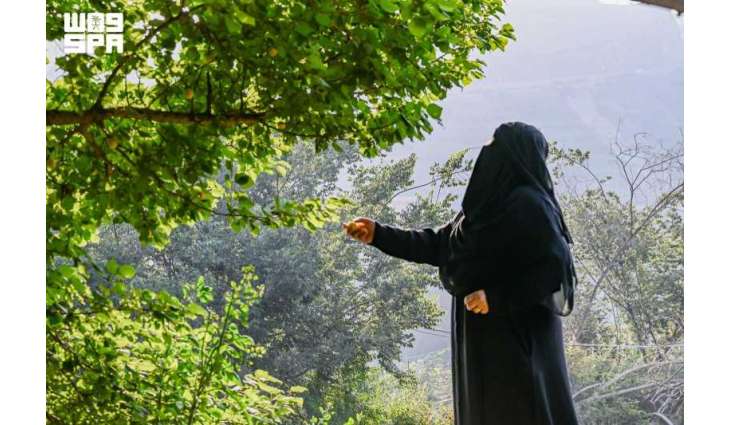مزارع الفواكه الصيفية بالباحة.. وجهة جاذبة للزوار ورافد للاقتصاد المحلي