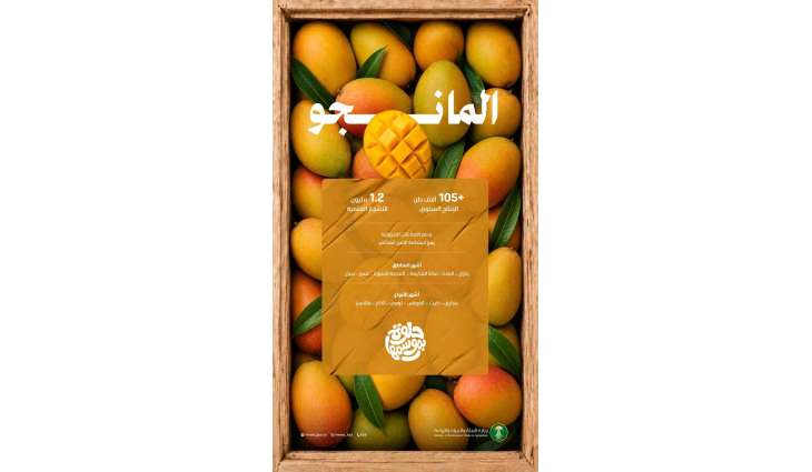1.2 مليون شجرة مانجو تطرح ثمارها في الأسواق المحلية تزامنًا مع موسم الإنتاج