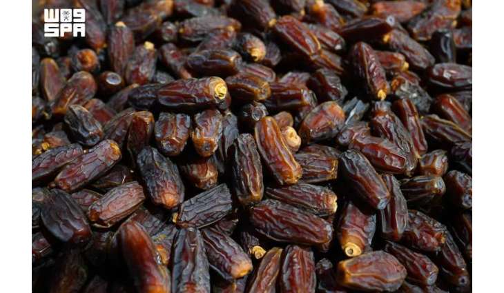 المدينة المنورة ثالث أكبر مناطق المملكة إنتاجًا للتمور بـ344 ألف طن سنويًا