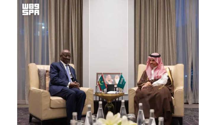 Foreign Minister Meets with Mauritanian Counterpart