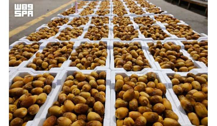 Rothana Dates Gain Strong Demand as Harvest Season Begins